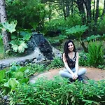 Pucon Magic Forest