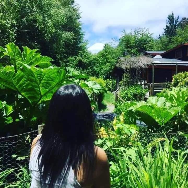 Magic Forest Alojamento