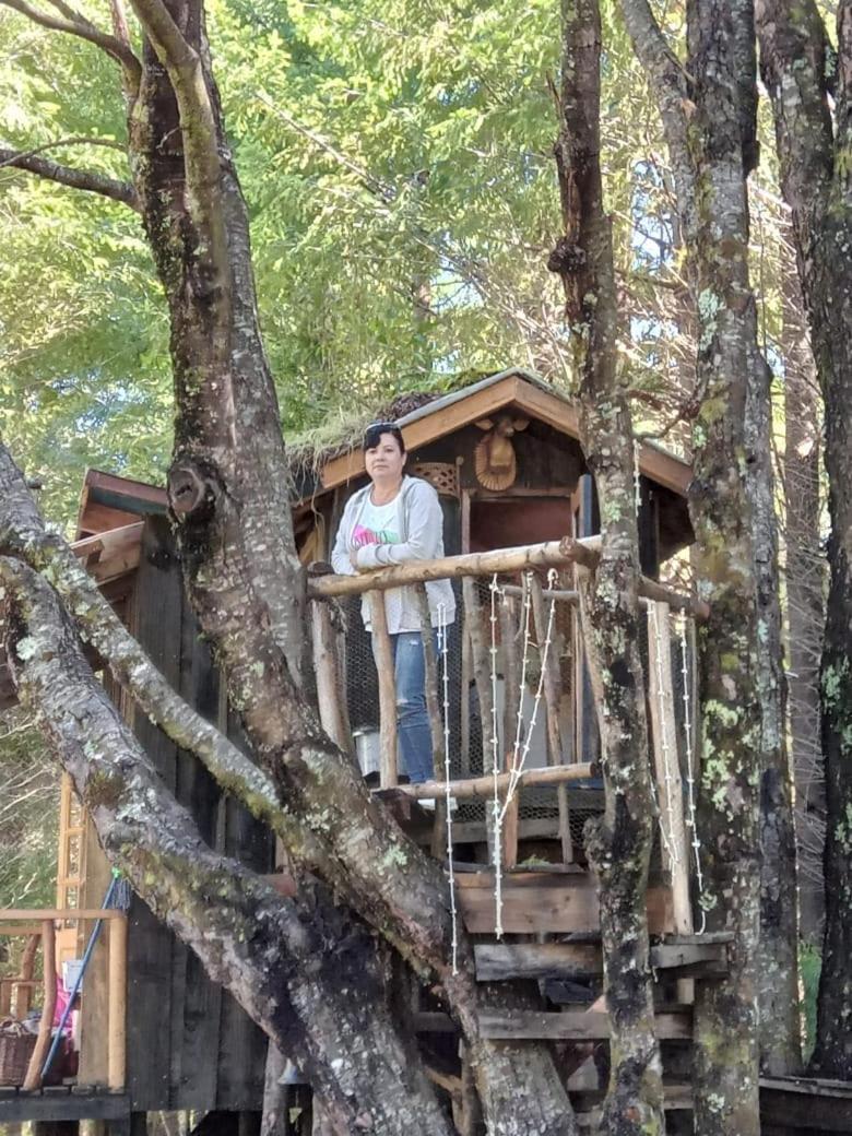 Magic Forest Alojamento *