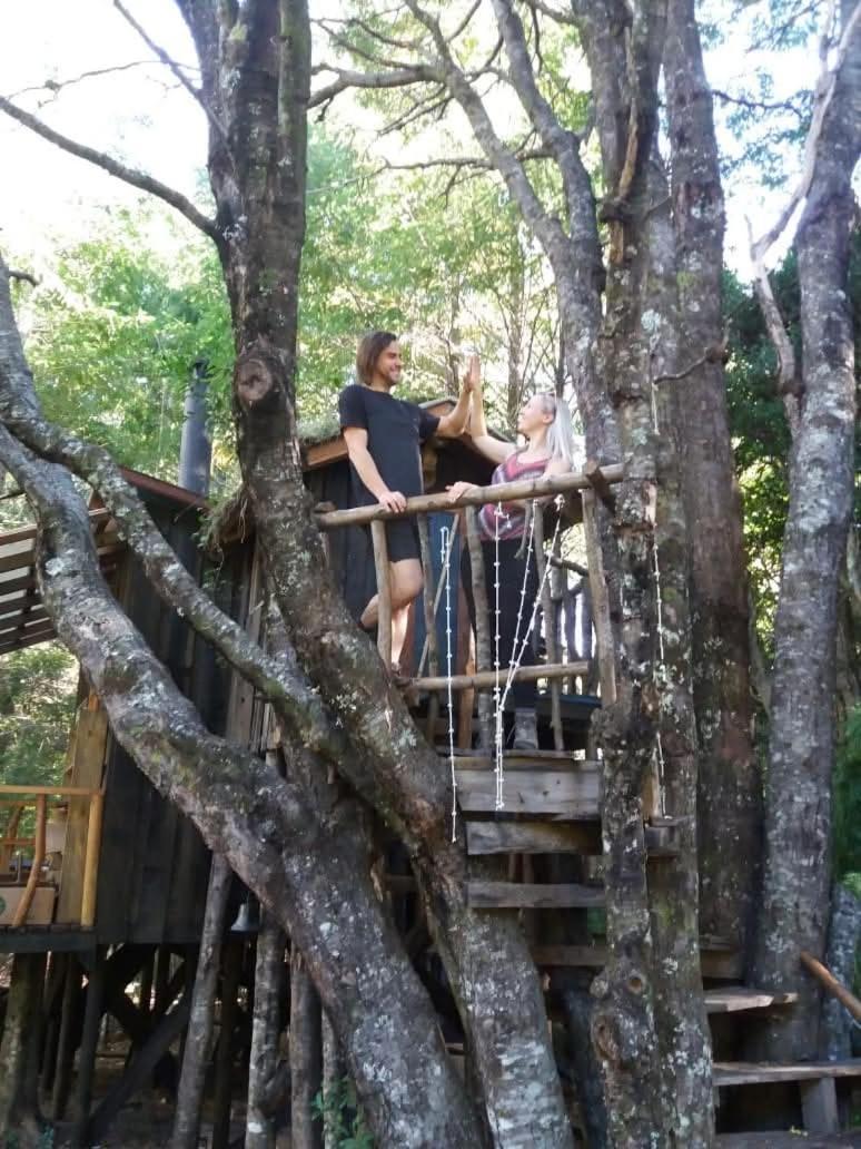 Alojamento Magic Forest *